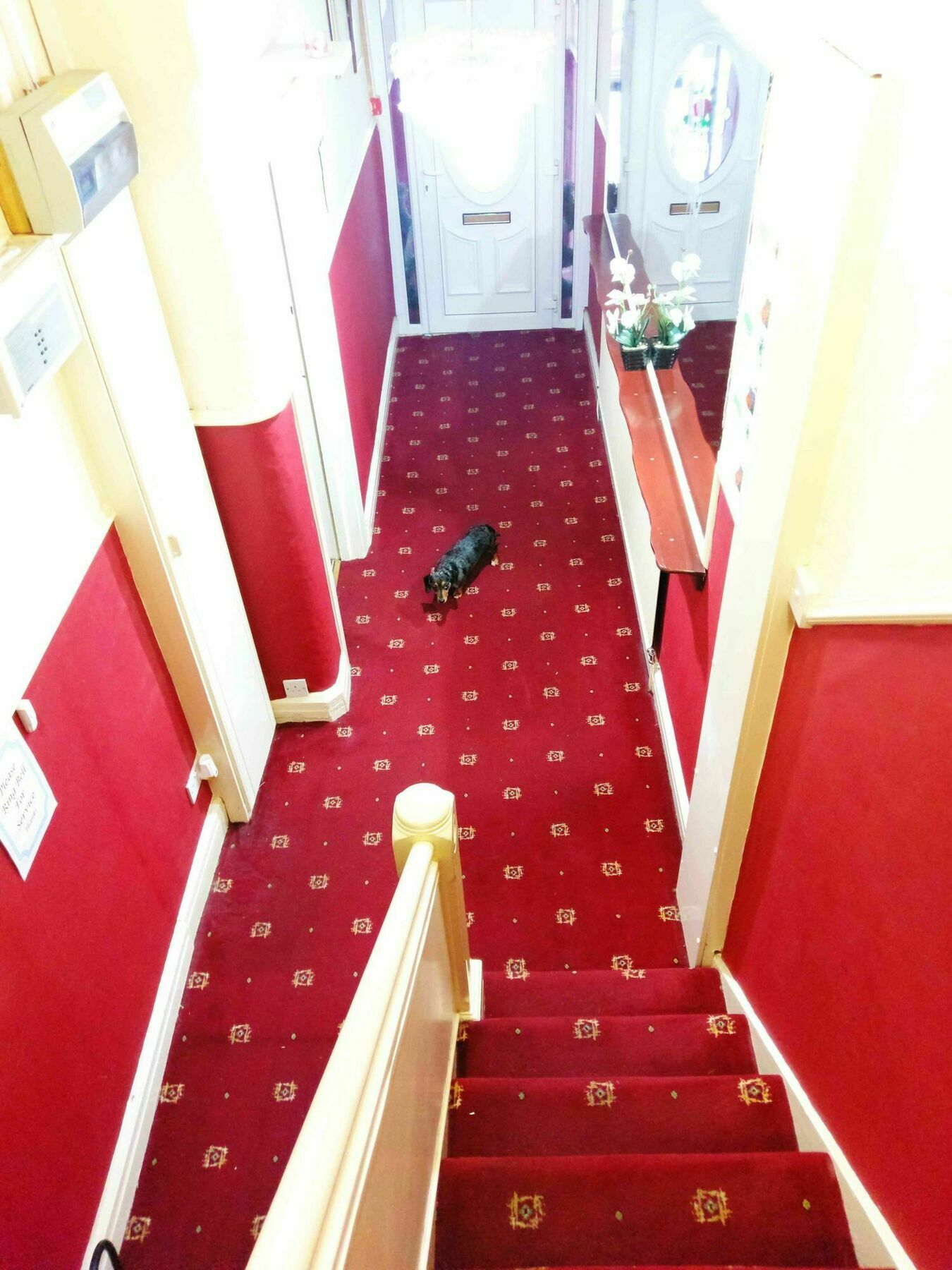 Ringbane House Bed and Breakfast Blackpool Eksteriør billede